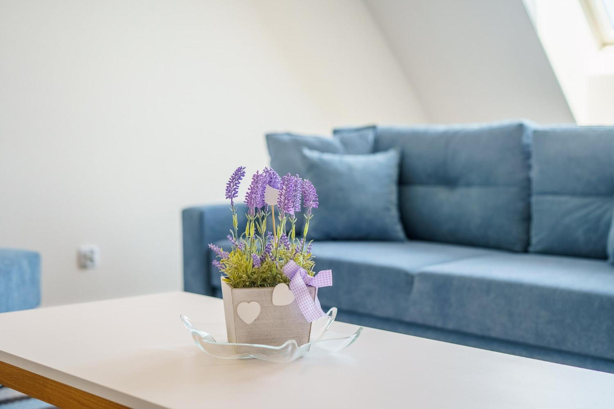 Bel Mare Miedzyzdroje Apartment With Balcony By Noclegi Renters Exteriör bild